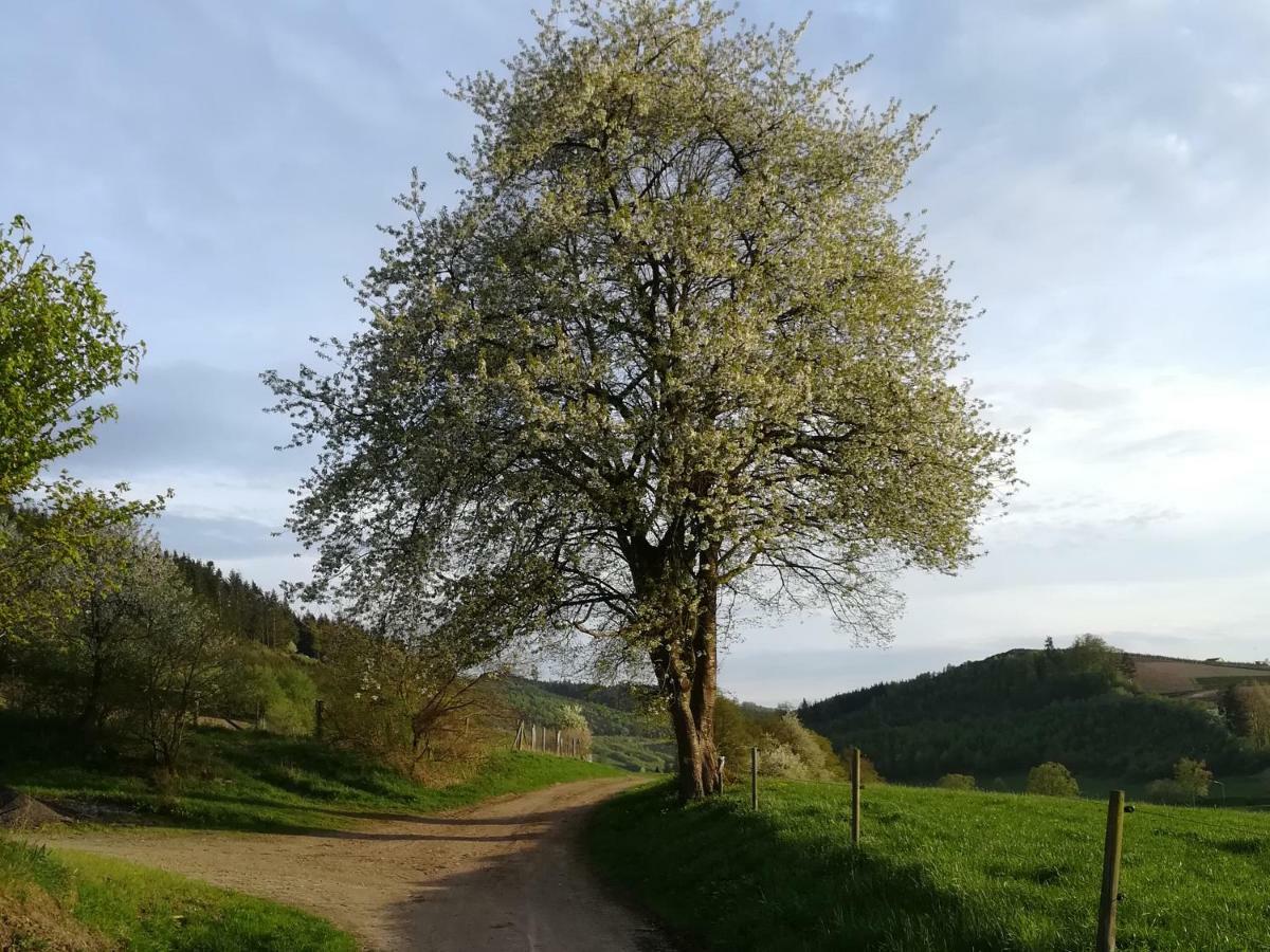 Bauernhofpension Wiebelhaus-Mester Lennestadt Bagian luar foto