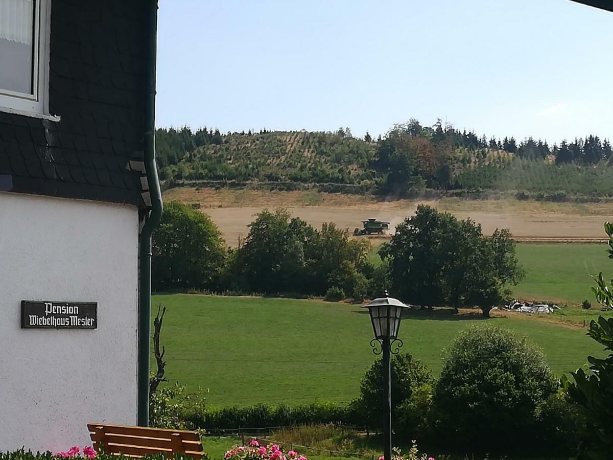 Bauernhofpension Wiebelhaus-Mester Lennestadt Bagian luar foto